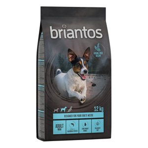 12kg Briantos Adult Mini lazac & burgonya - gabonamentes száraz kutyatáp 11+ 1 ingyen akcióban