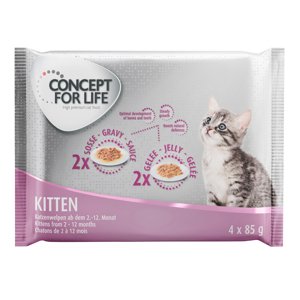 4x85g Concept for Life nedves macskatáp próbacsomagban-Kitten rendkívüli kedvezménnyel!