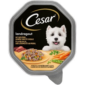 14x150g Cesar Szárnyas & zöldség szószban nedves kutyatáp 15% kedvezménnyel