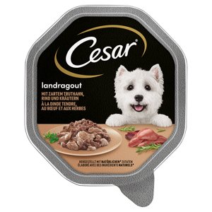14x150g Cesar Vidéki ragu pulyka, marha & fűszernövények nedves kutyatáp 15% kedvezménnyel
