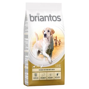 14kg Briantos Adult Maxi száraz kutyatáp 10% kedvezménnyel