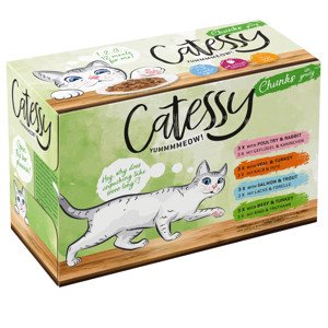 12x100g Catessy falatok szószban nedves macskatáp vegyesen 10% kedvezménnyel