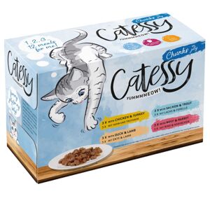 48x100g Catessy falatok aszpikban nedves macskatáp 4 különböző fajtával rendkívüli árengedménnyel