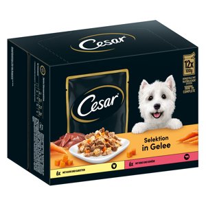 12x100g Cesar hús- és zöldségválogatás aszpikban nedves kutyatáp 10+2 ingyen akcióban