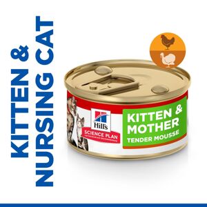 48x85g Hill's Science Plan Kitten & Mother Tender Mousse csirke és pulyka nedves macskatáp