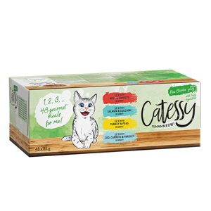 48x85g Catessy falatok zöldséggel szószban nedves macskatáp vegyes csomag