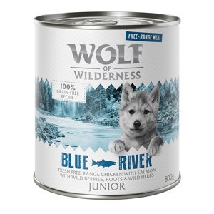 12x800g 11 + 1 ingyen! Wolf of Wilderness nedves kutyatáp - Junior Blue River - szabad tartású csirke & lazac