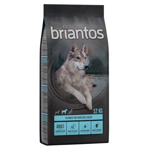 12kg Briantos Adult lazac & burgonya - gabonamentes száraz kutyatáp 10% árengedménnyel