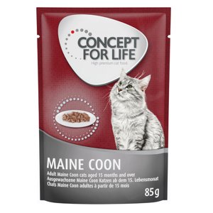 12x85g Concept for Life Maine Coon Adult  (ragu-minőség) nedves macskatáp dupla zooPontért