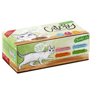 48 x 100 g Catessy falatok szószban nedves macskatáp vegyes csomag rendkívüli árengedménnyel