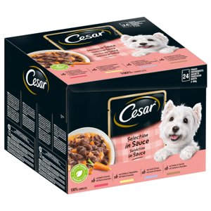 48 x 100 g Cesar nedves kutyatáp- Feines szószos válogatás tasakokban 40+8 ingyen akcióban
