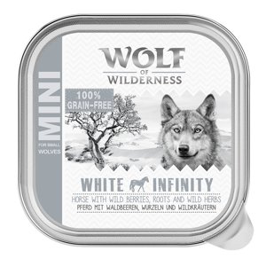 6x150g Wolf of Wilderness Adult White Infinity - ló tálcás nedves kutyatáp