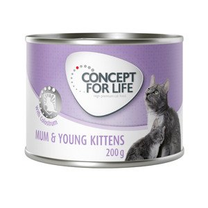 6x200g Concept for Life Mum & Young Kittens Mousse nedves konzerv macskatáp kiscicáknak
