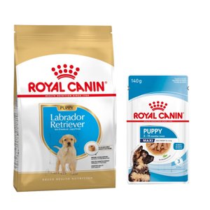 12kg Royal Canin Labrador Retriever Puppy száraz kutyatáp+10x140g Maxi nedvestáp ingyen