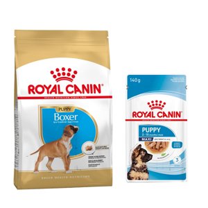 12kg Royal Canin Boxer Puppy száraz kutyatáp+10x140g Maxi nedvestáp ingyen