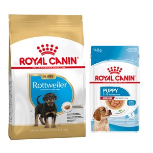 10/12 kg Royal Canin Breed Puppy száraztáp+10 x 140g nedvestáp ingyen! - Rottweiler Puppy (12 kg) + Medium Puppy nedvestáp