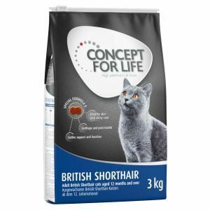 3x3kg Concept for Life British Shorthair száraz macskatáp 15% kedvezménnyel
