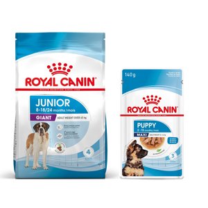 15kg Royal Canin Giant Junior száraz kutyatáp+10x140g Maxi Puppy nedves kutyatáp ingyen