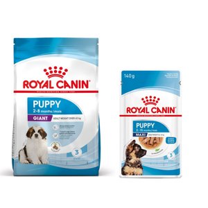 15kg Royal Canin Giant Puppy száraz kutyatáp+10x140g Maxi Puppy nedves kutyatáp ingyen