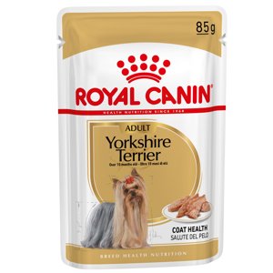 48x85g Royal Canin Yorkshire Terrier Mousse nedves kutyatáp 3+1 tálca ingyen