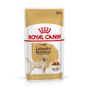 40x140g Royal Canin Retriever Adult szószban nedves kutyatáp 3+1 tálca ingyen