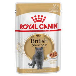 48x85g Royal Canin British Shorthair szószban nedves macskatáp 36+12 ingyen