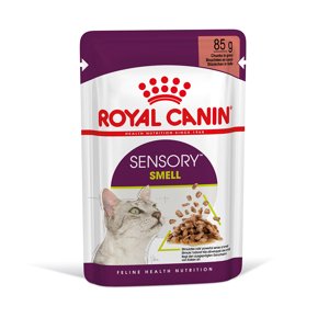 12x85g Royal Canin Sensory Smell szószban nedves macskatáp 20% kedvezménnyel