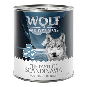 24x800g Wolf of Wilderness rendkívüli kedvezménnyel nedves kutyatáp- The Taste Of Scandinavia