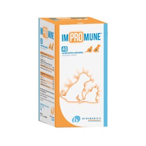 Az IMPROMUNE 40 fokozza a háziállatok immunitását