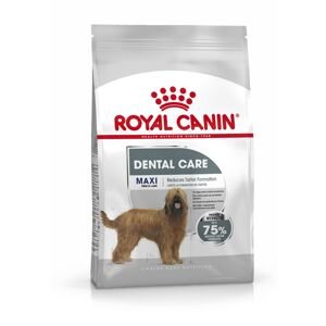 2x9kg Royal Canin Maxi Dental Care száraz kutyatáp