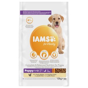 12kg IAMS for Vitality Puppy & Junior Large csirke száraz kutyatáp 10% árengedménnyel