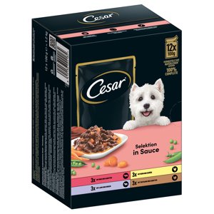 24x100g Cesar hús és zöldségválogatás szószban nedves kutyatáp 15% kedvezménnyel