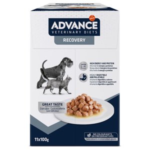 22x100g Advance Veterinary Diets Recovery nedves kutyatáp 18+4 ingyen akcióban