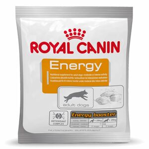 50g Royal Canin Energy kutyasnack