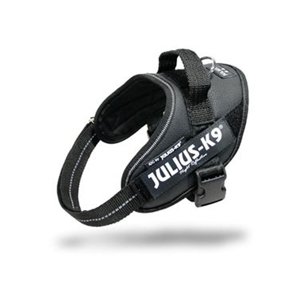 Julius K9 powerhám - fekete - Mini: 51- 67 cm a mellkas kerülete