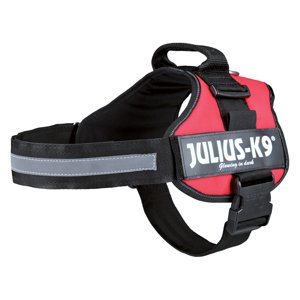 JULIUS-K9® powerhám (erőhám) kutyáknak piros Méret 2: 71-96cm mellkerület