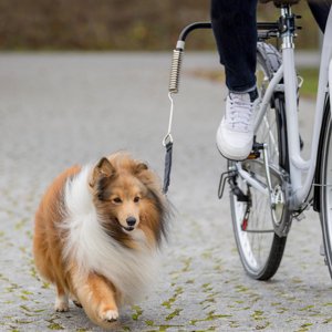 Trixie de Luxe biciklis szett kutyáknak 1db