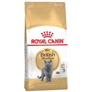 2x10kg Royal Canin British Shorthair Adult száraz macskatáp