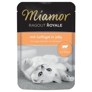 Miamor Kitten