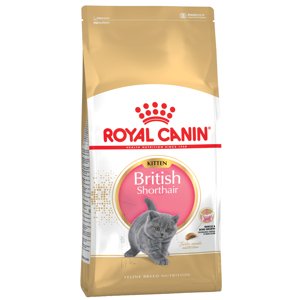 2x10kg Royal Canin British Shorthair Kitten száraz macskatáp