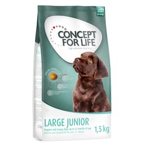6kg Concept for Life Large Junior száraz kutyatáp
