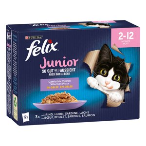 Felix Junior