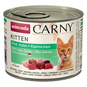 Carny Kittten