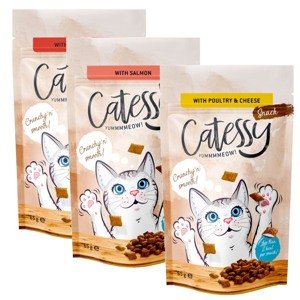 15x65g Catessy jutalomfalat macskáknak-Vegyes csomag 3 változattal (5x szárnyas, 5x marha, 5x lazac)